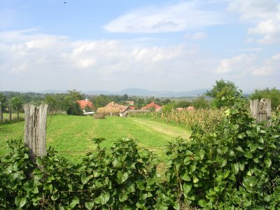 Roadside View.